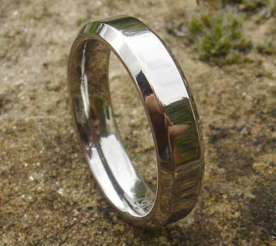 Brides titanium wedding ring