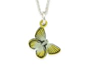 Beautiful titanium butterfly necklace featuring vivid anodised colours
