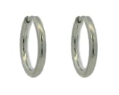 Titanium hoop earrings complemented by a secure hinged fastening
